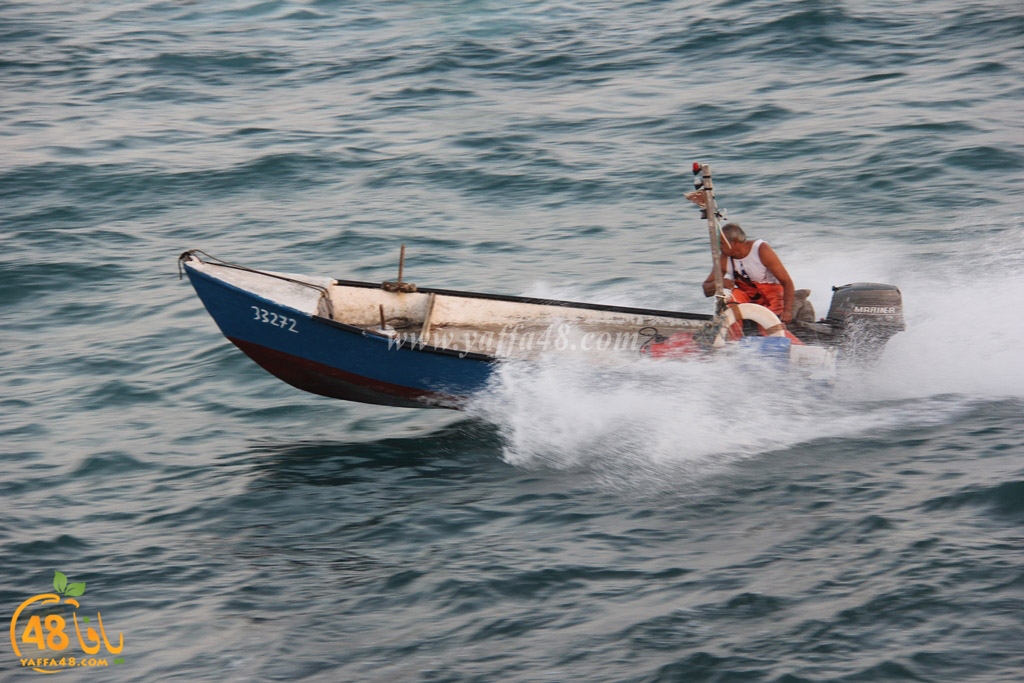 iste3rad sayaden yaffa (28).JPG